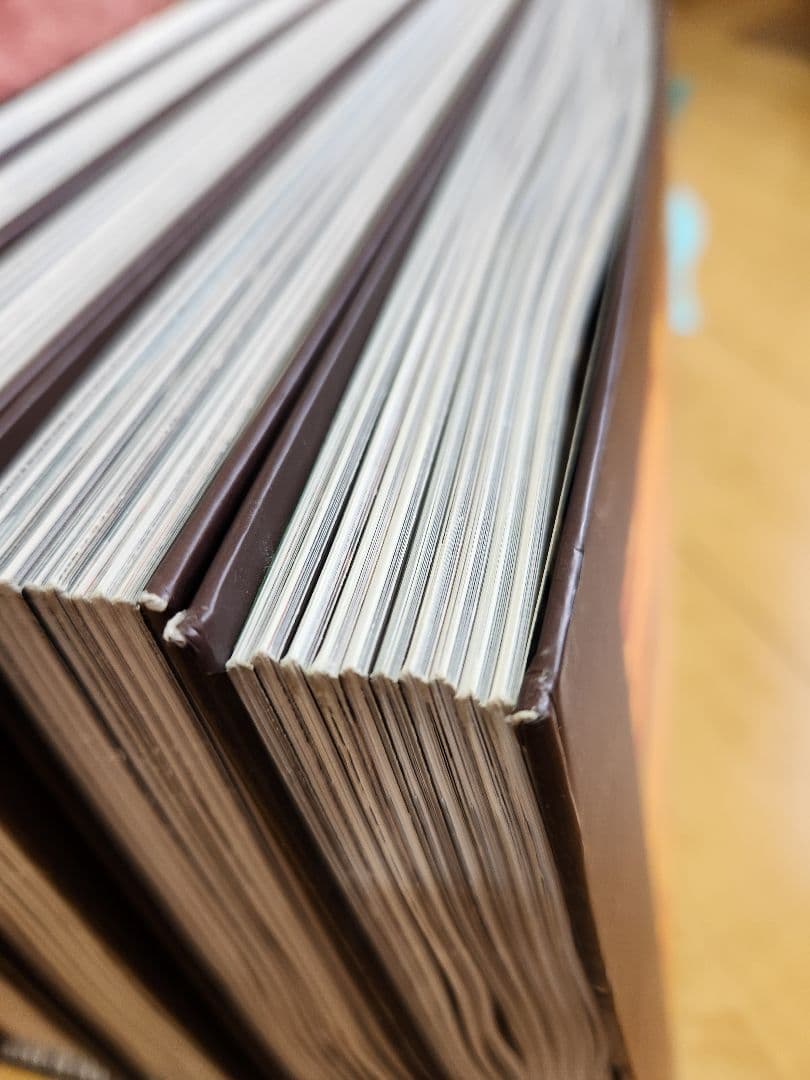 講談社　週刊日本の仏像全５０巻セットバインダー付き