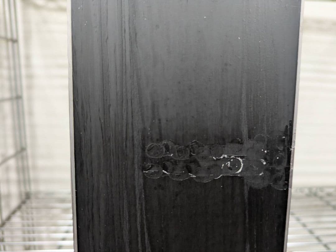 Salomon GS スキー 166cm X12ビンディング