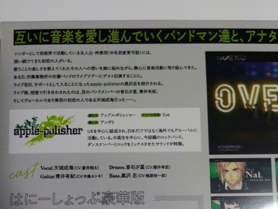 新品◆DYNAMIC CHORD feat.apple-polisher　　有紀