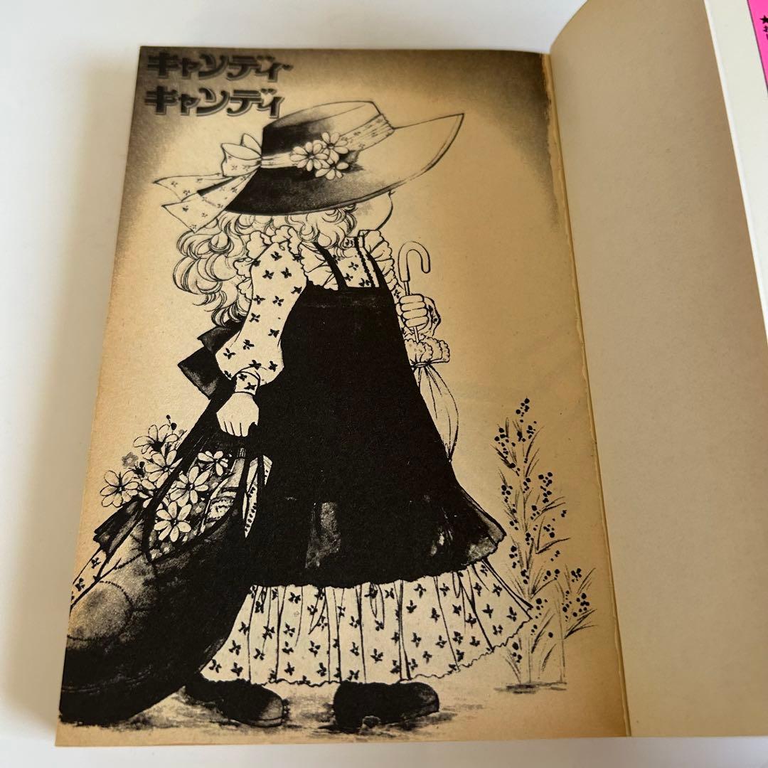 【オリジナル黒文字ver.全9巻セット】 キャンディ♡キャンディ いがらしゆみこ