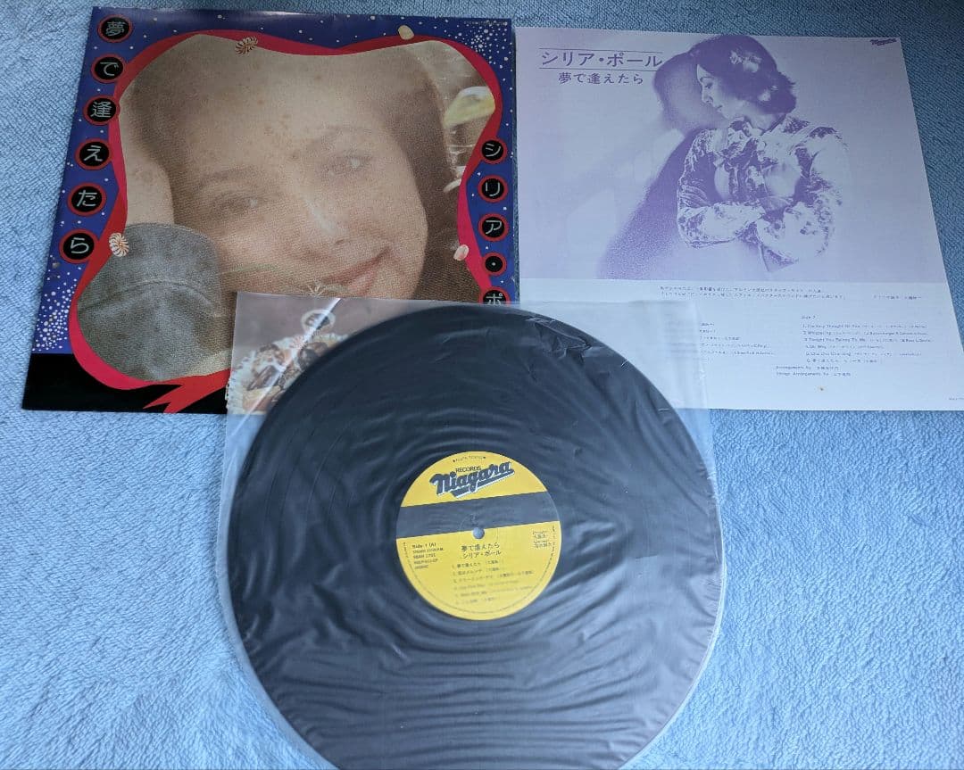 NIAGARA BLACK VOX レコード