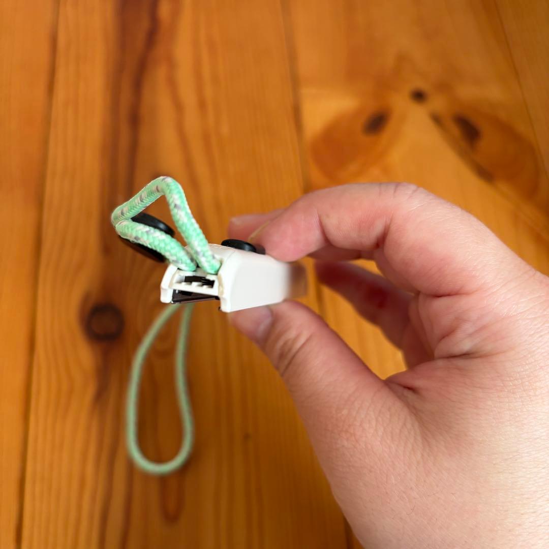 や*ち様 Nintendo Switch あつまれどうぶつの森 セット あつ森