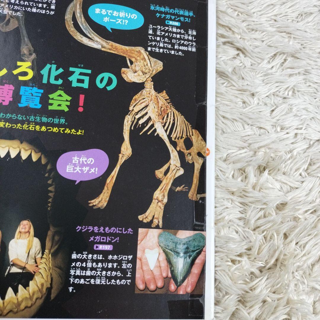 講談社の動く図鑑MOVE☆１１冊セット☆まとめ売り