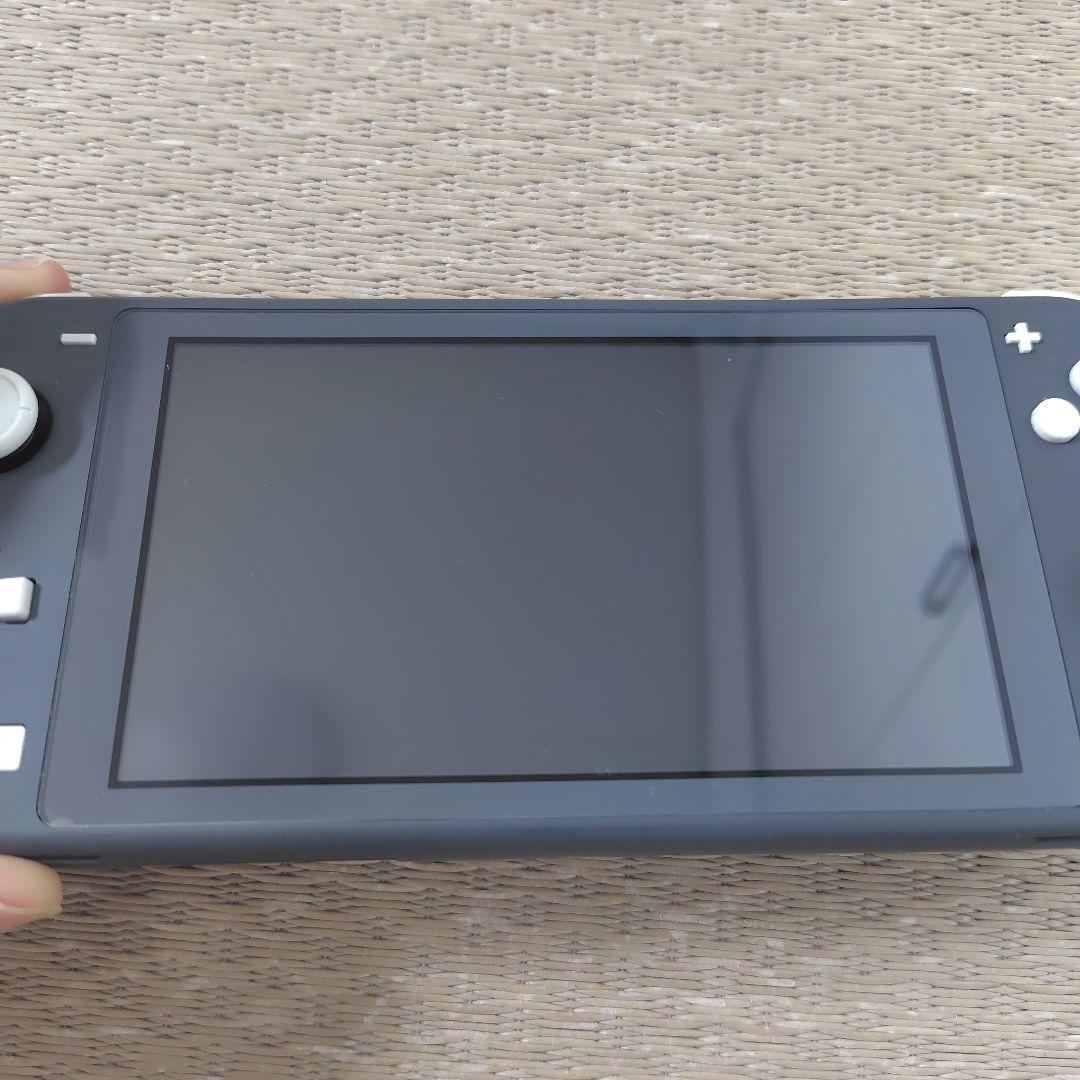 【ジャンク液晶タテ線】スイッチライトその他良好