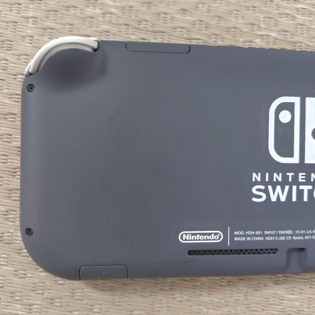 【ジャンク液晶タテ線】スイッチライトその他良好