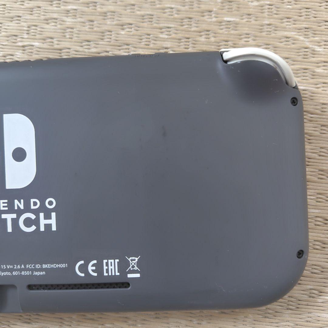 【ジャンク液晶タテ線】スイッチライトその他良好