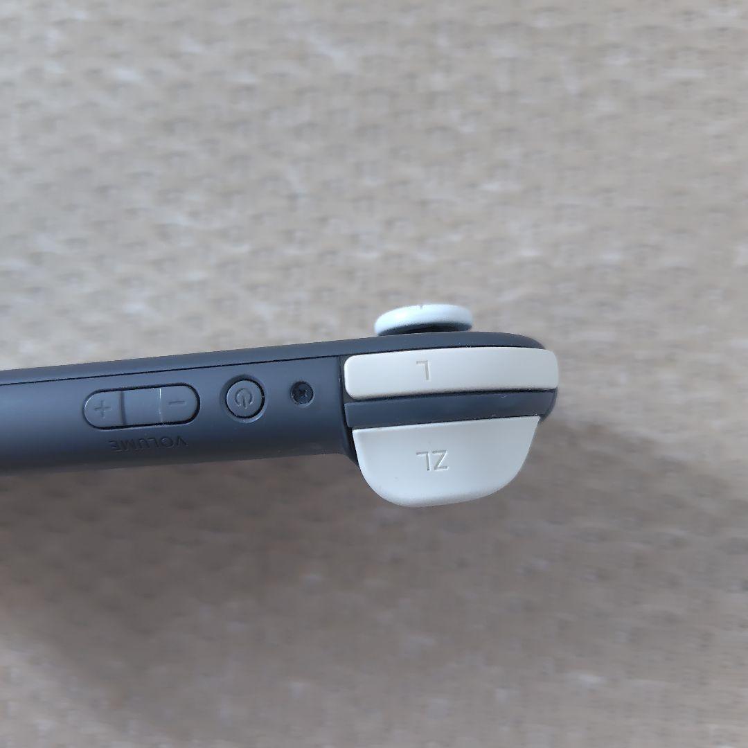 【ジャンク液晶タテ線】スイッチライトその他良好