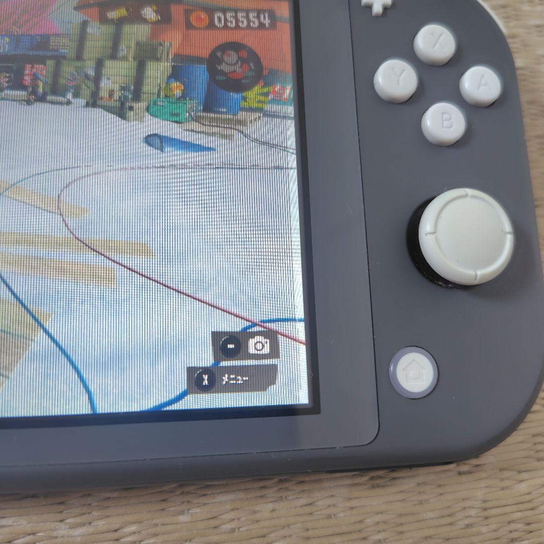 【ジャンク液晶タテ線】スイッチライトその他良好