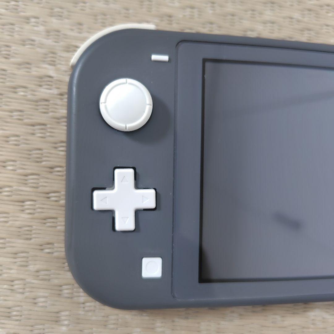 【ジャンク液晶タテ線】スイッチライトその他良好