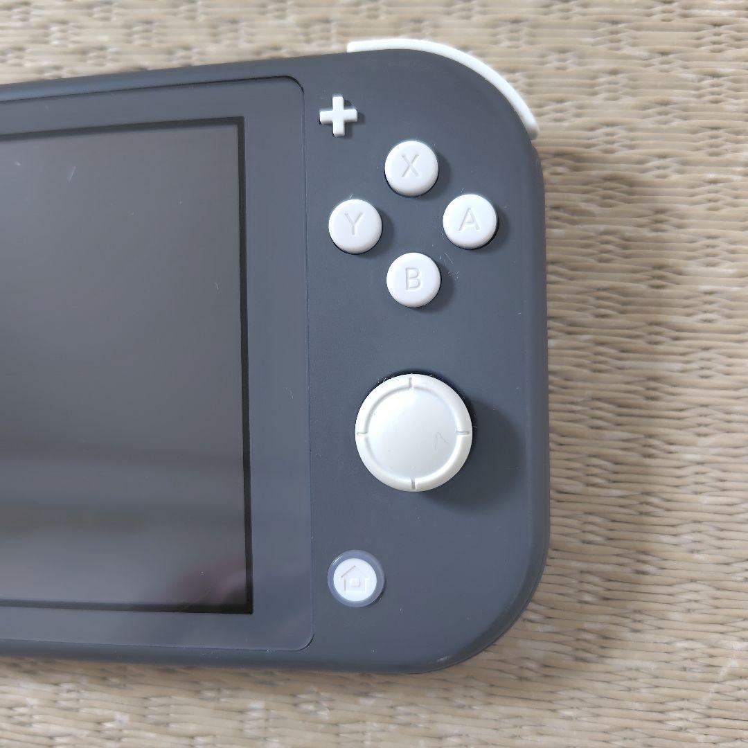 【ジャンク液晶タテ線】スイッチライトその他良好