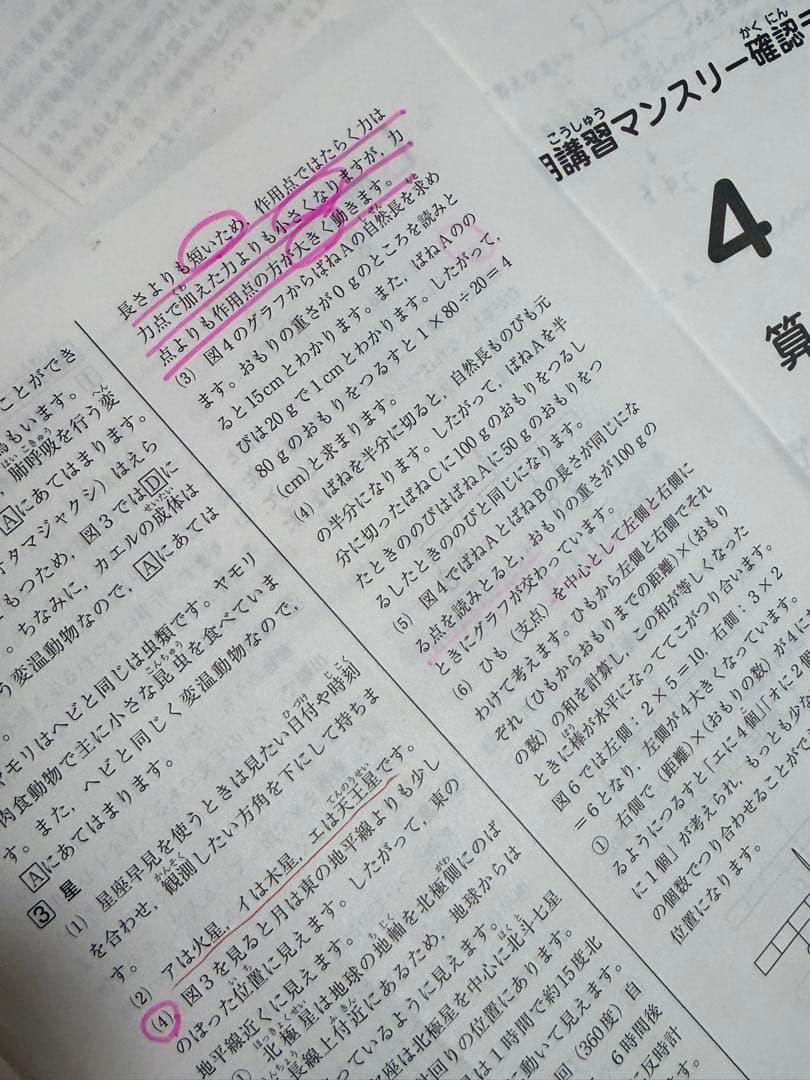 SAPIX 新5年生１年分　入室、マンスリー、組分け、復習テスト、全て原本