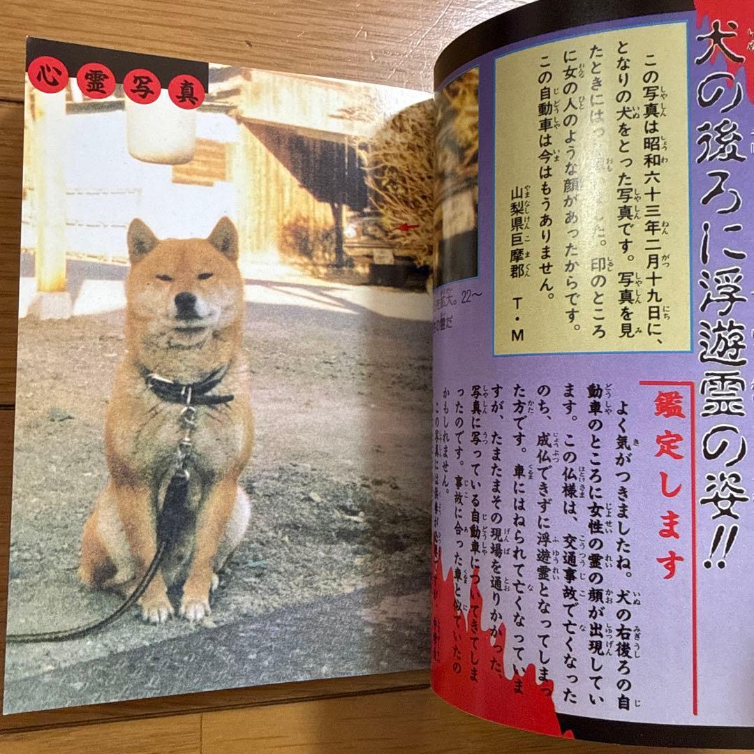 初版 恐怖の心霊体験大百科 宣保愛子 ケイブンシャの大百科 362 怪奇