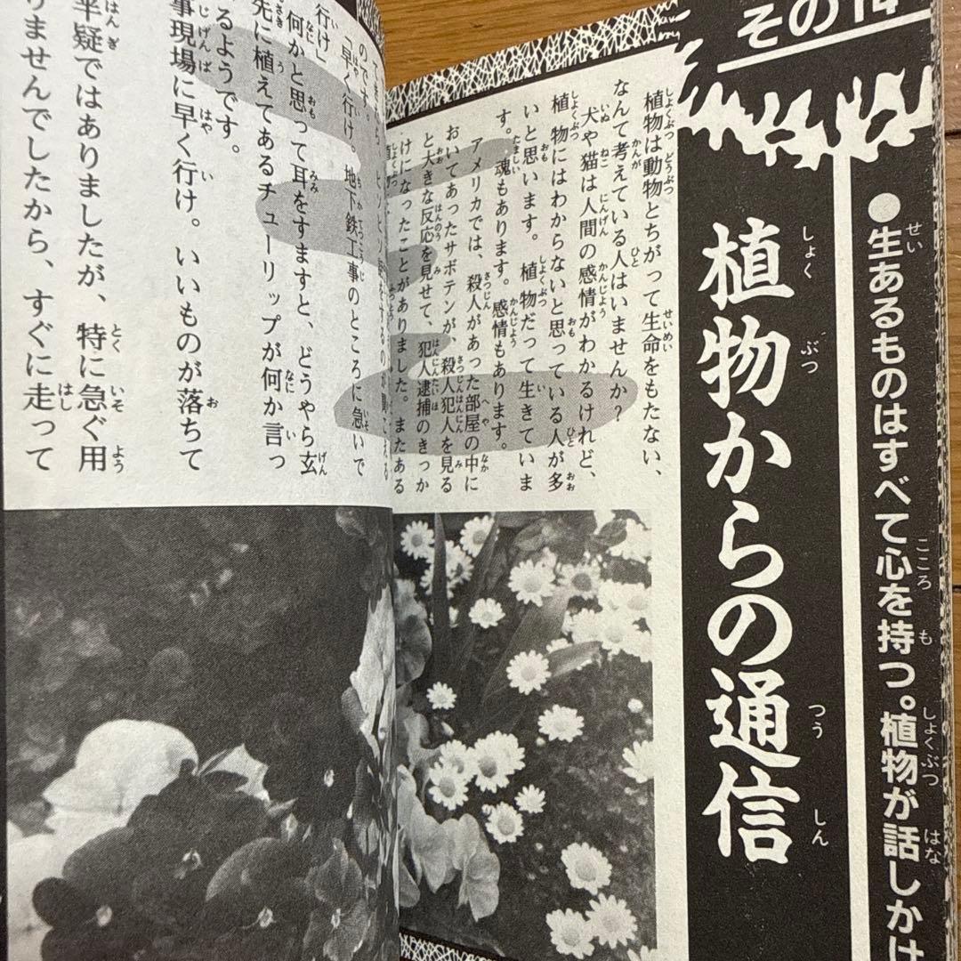 初版 恐怖の心霊体験大百科 宣保愛子 ケイブンシャの大百科 362 怪奇