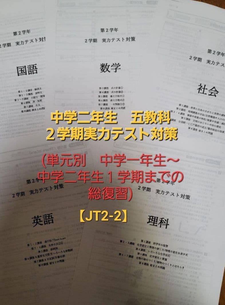 【meso3さま専用】