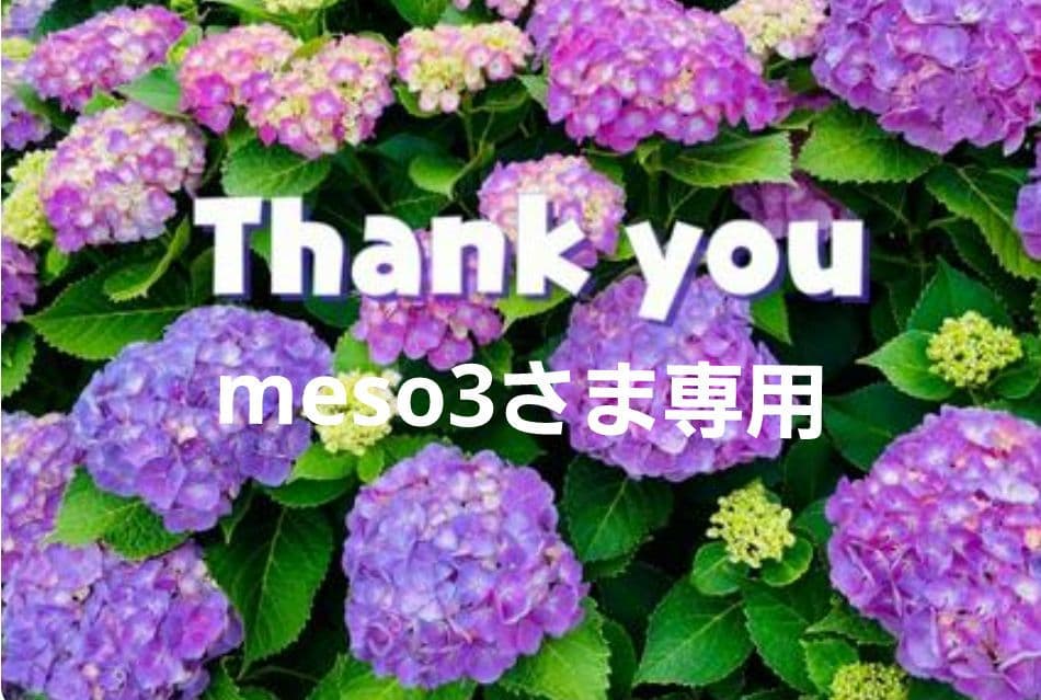 【meso3さま専用】
