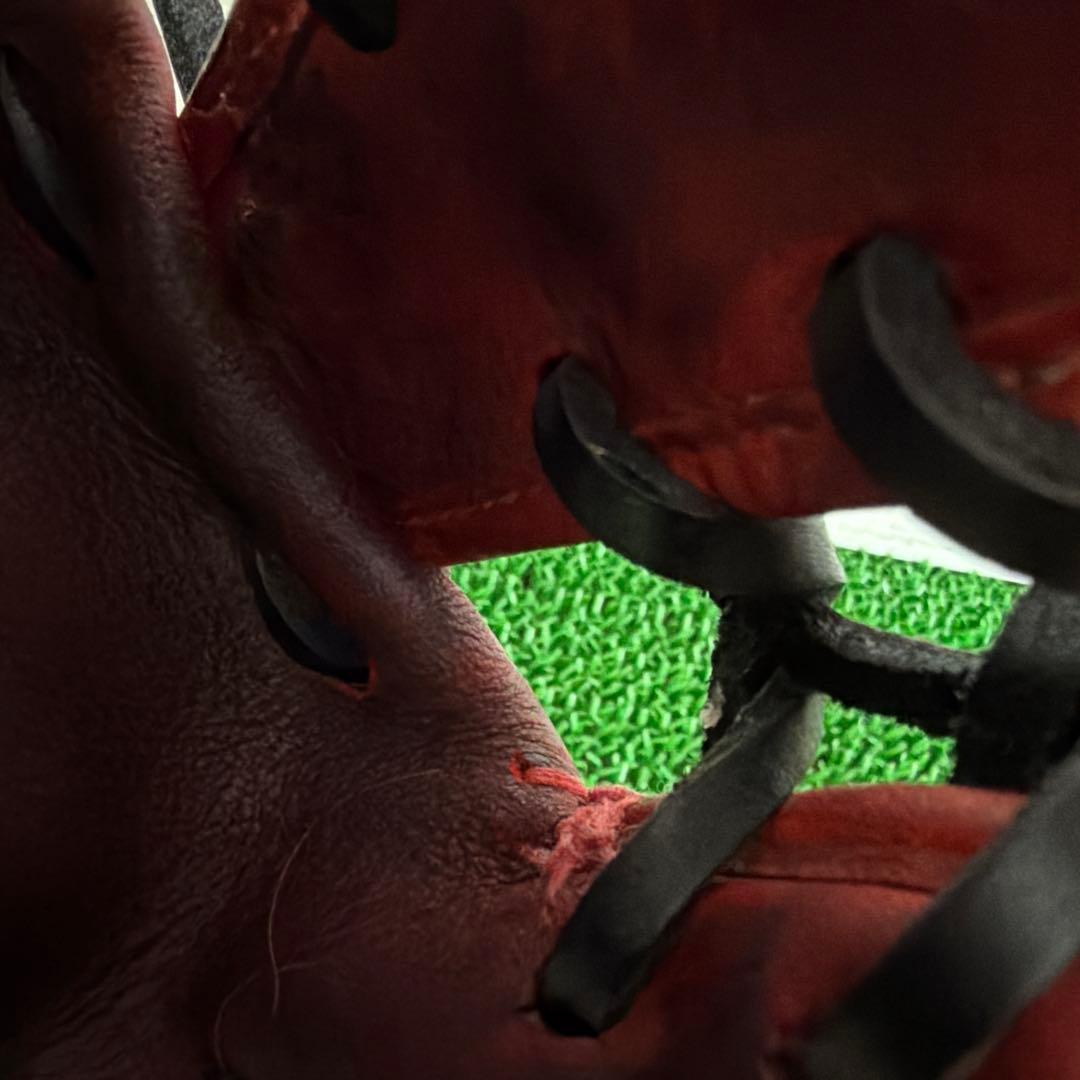 ミズノプロ　硬式　外野