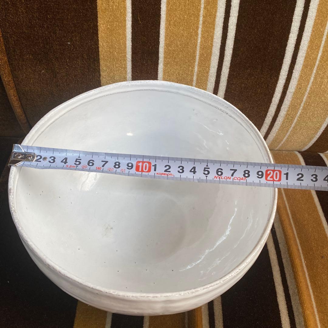 アスティエ・ド・ヴィラット　お皿　丼皿　大皿