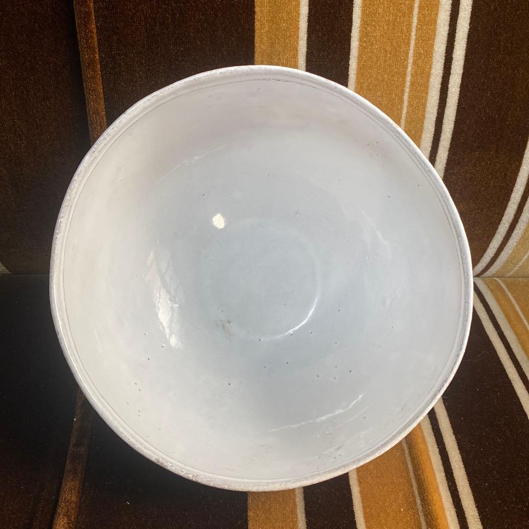 アスティエ・ド・ヴィラット　お皿　丼皿　大皿