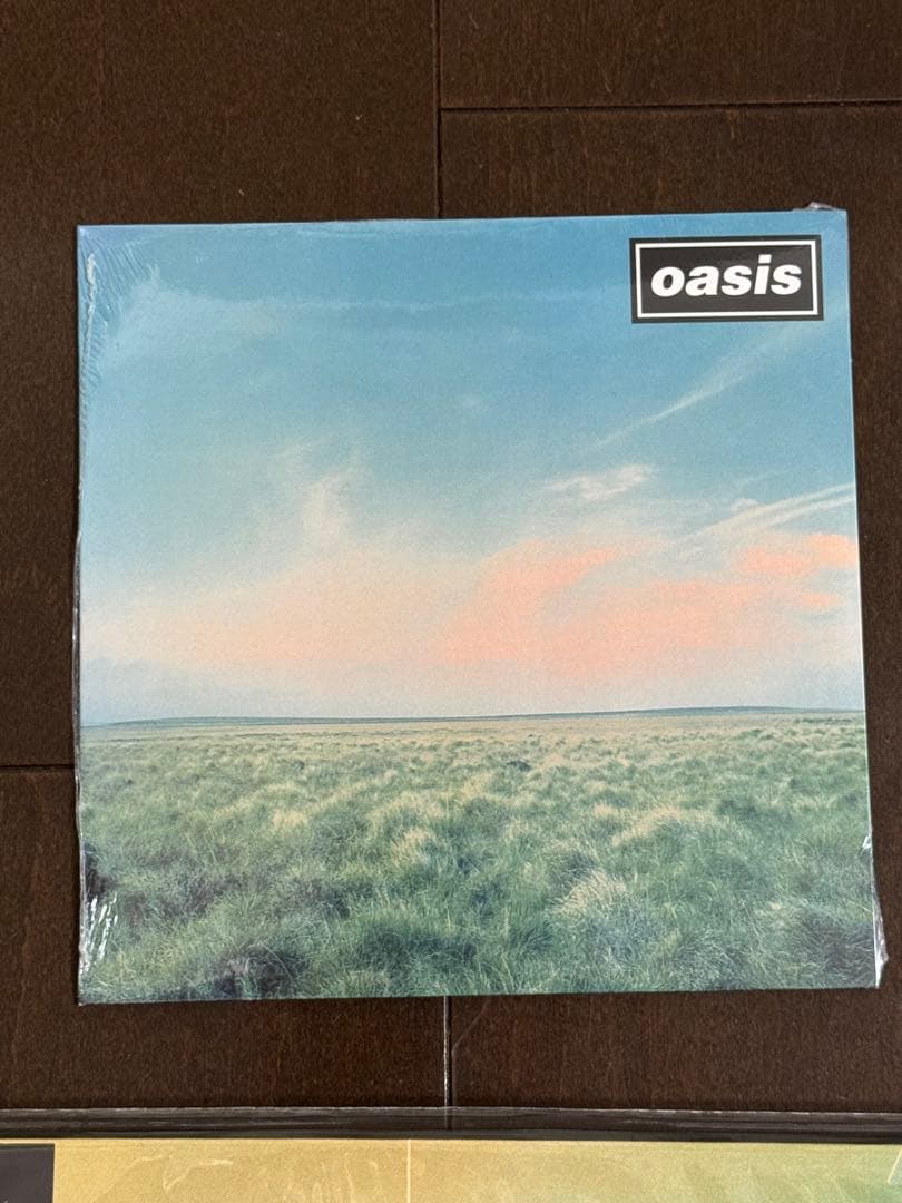 oasis レコード LP シングル チケット オアシス バケットハット 巾着