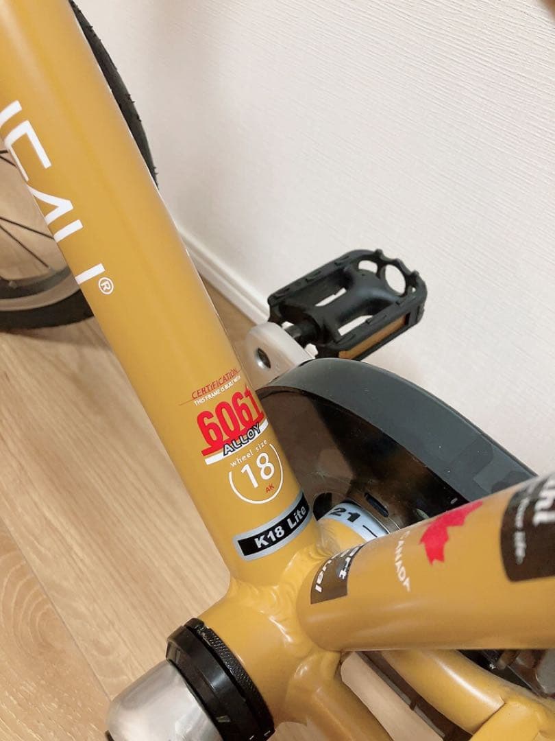 LOUIS GARNEAU 18インチ 子供用自転車　ルイガノ