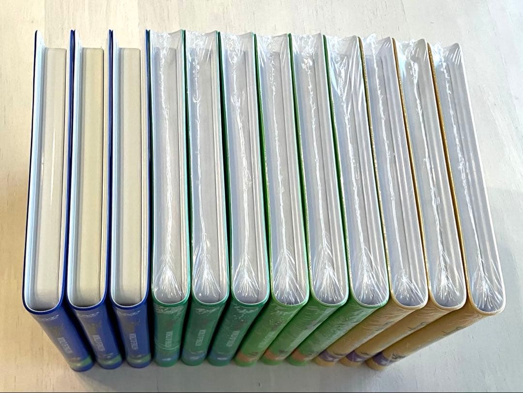 未開封多数　新子役　ディズニー英語システム　dwe ステップバイステップ　dvd