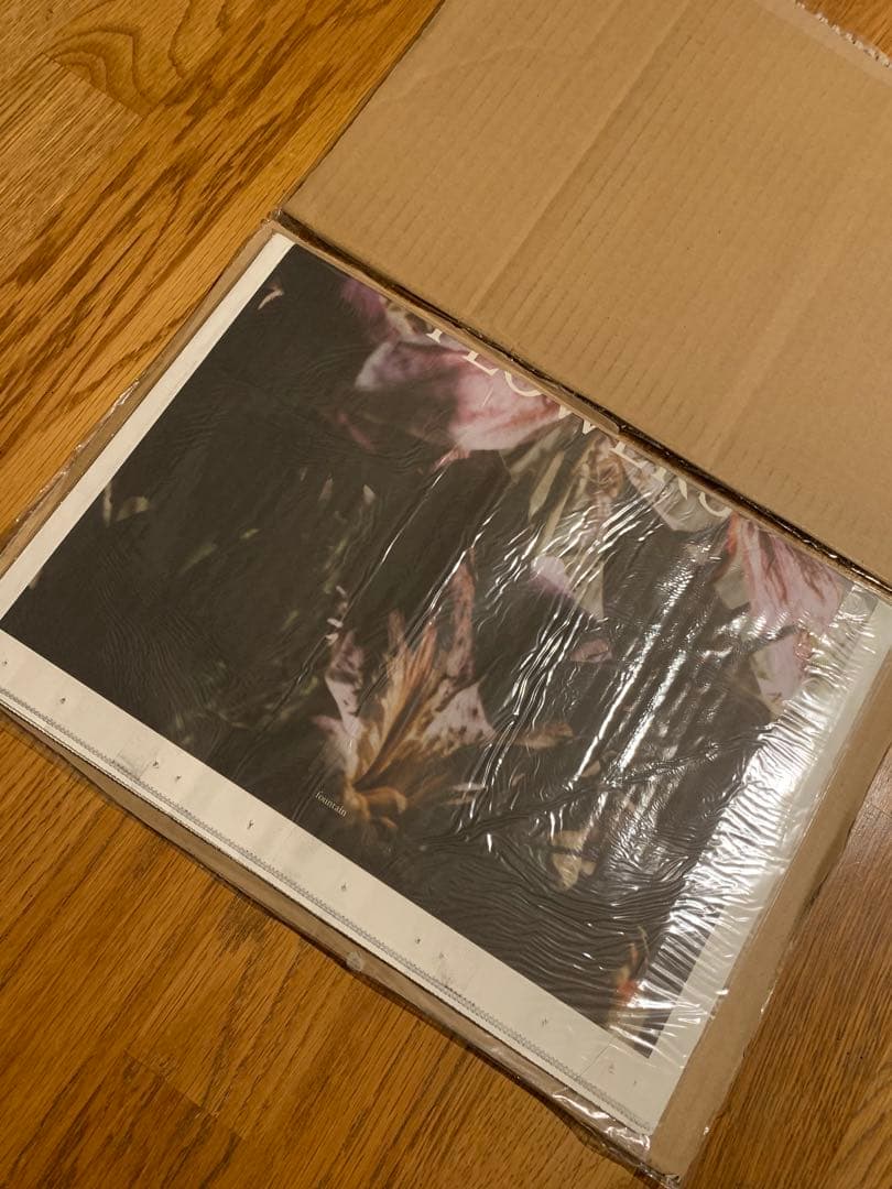 新品未開封❗️リナシェイニウス　FLOWERS Lina Scheynius