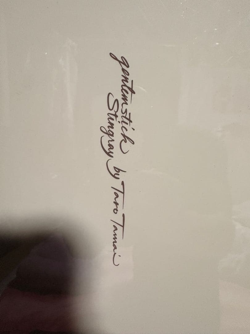 gentemstick Stingray スノーボード