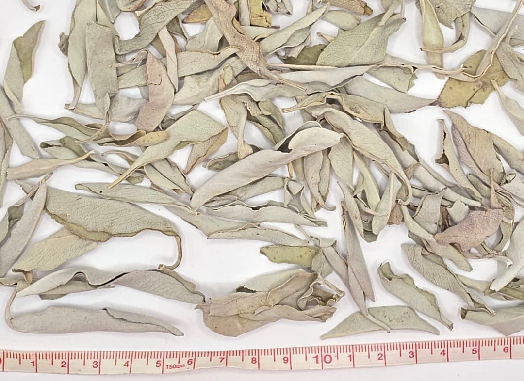 激安価格☆無農薬アウトレットホワイトセージリーフ1KG箱入りお香浄化業務用価額