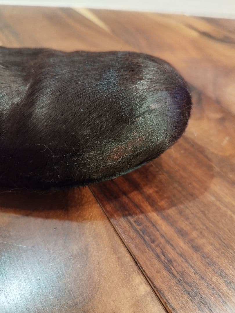 希少The viridi-anne ジップブーツ