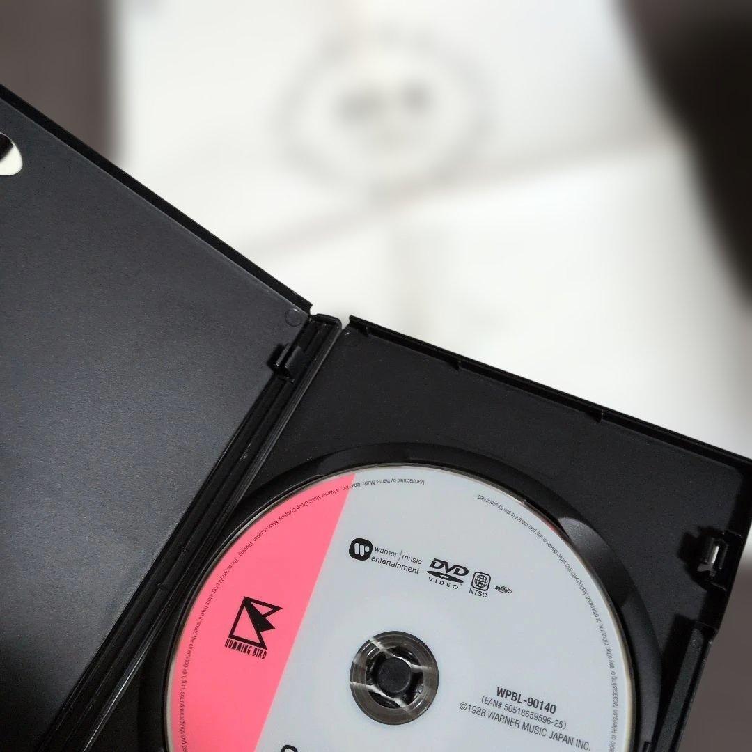 浅香唯/Candid Girl-浅香唯 IN AUSTRALIA