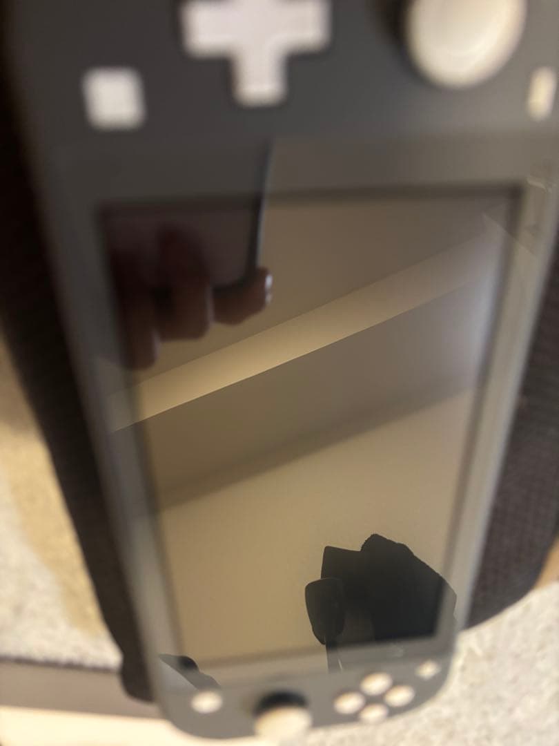 【超美品】Nintendo Switch Lite グレー 本体 + 充電器