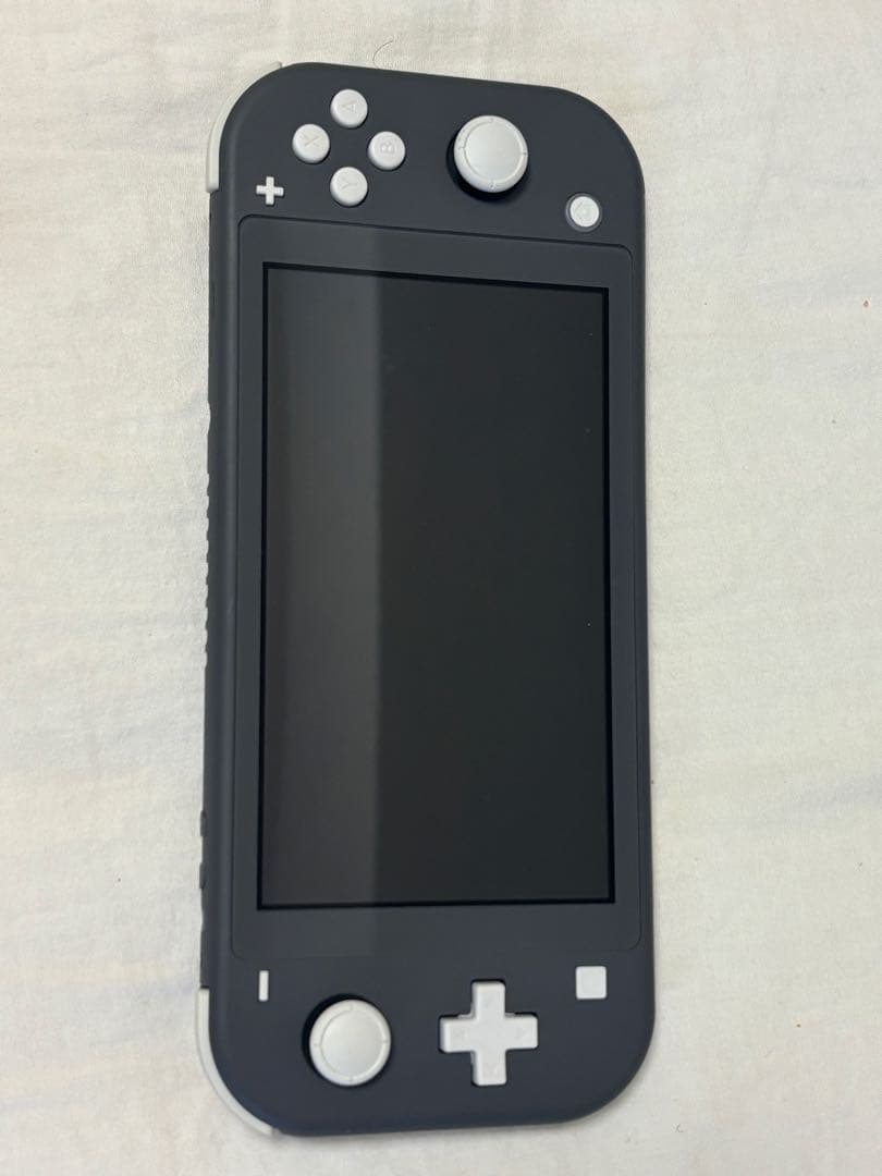 【超美品】Nintendo Switch Lite グレー 本体 + 充電器
