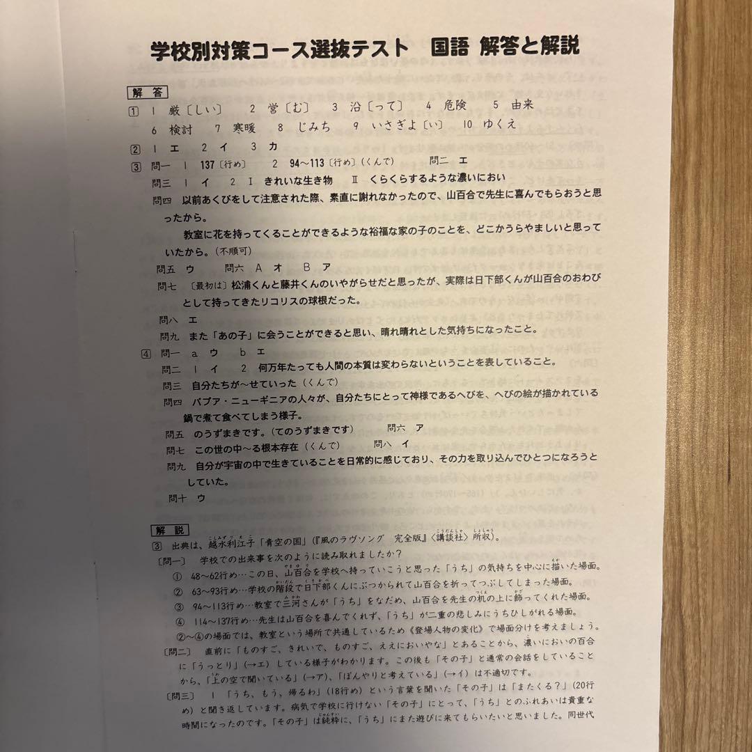 四谷大塚　学校別対策コース選抜テスト　問題用紙解答解説　早稲アカNNサピックス