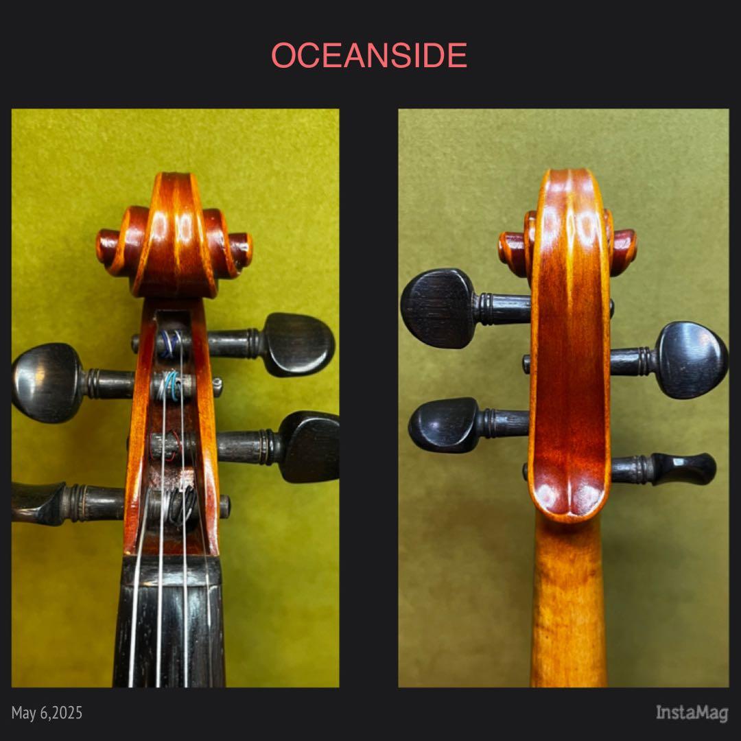 【新品弦交換済⭐️】SUZUKIバイオリン 4/4 特No.1 特1