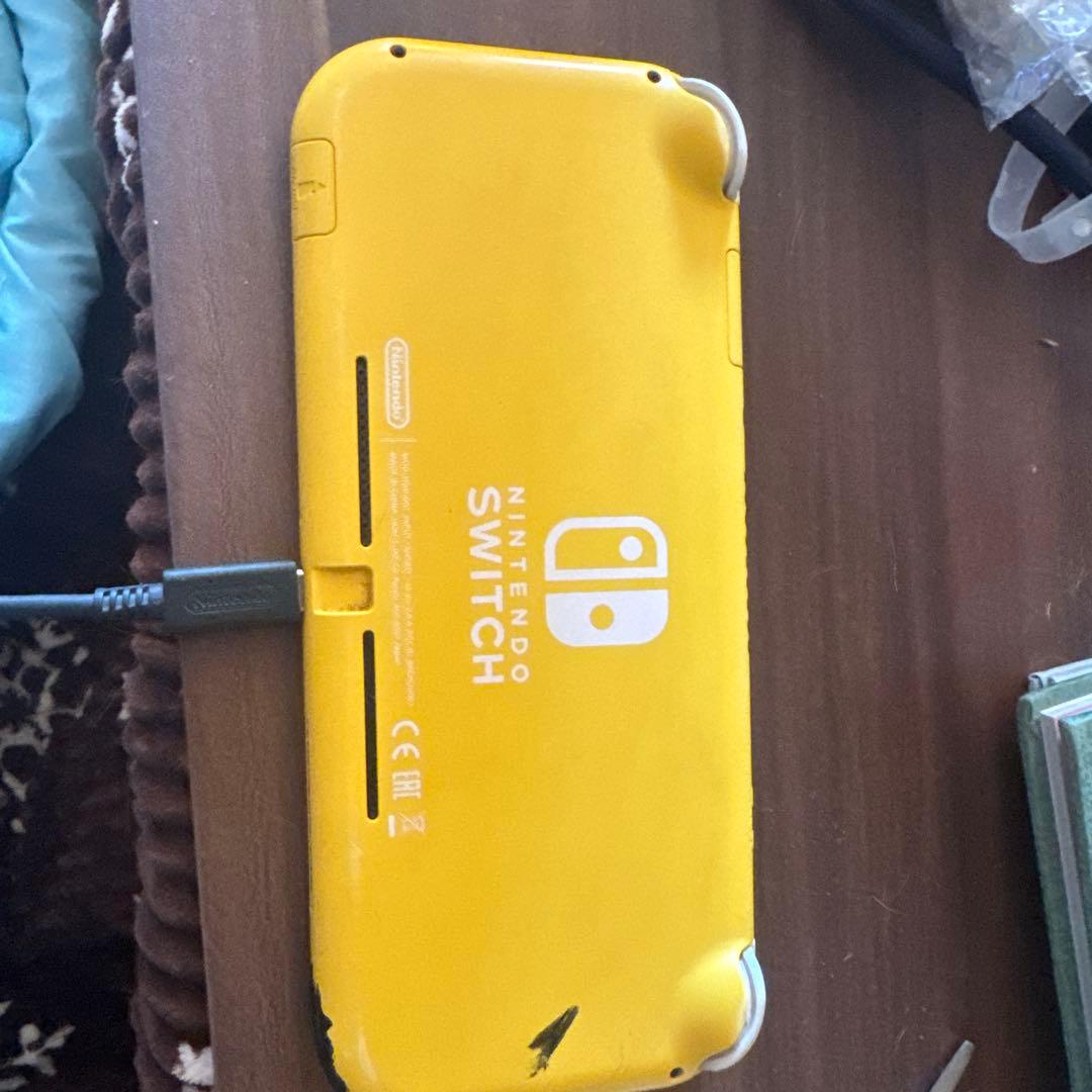 Nintendo Switch Lite ジャンク充電、起動します