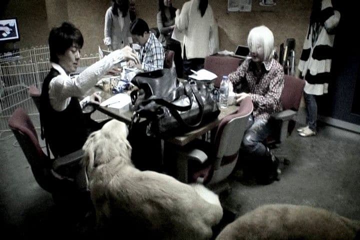 access 20th Anniversary DVD★浅倉大介 貴水博之