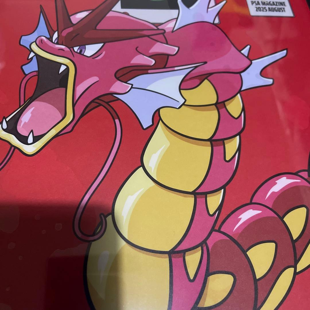 PSA9.8 赤いギャラドス PSA マガジン ポケモン 色違い 高得点 BGS