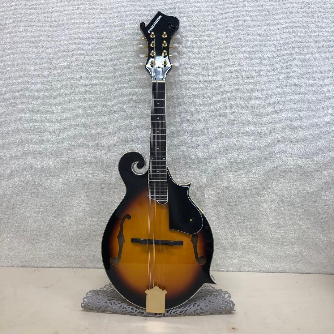 PLAY TECH プレイテック F型 マンドリン ハードケース付き