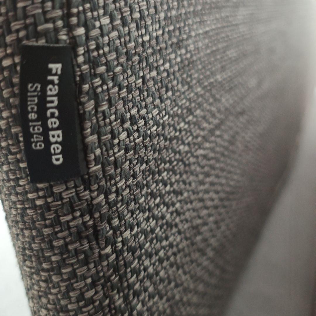 【引き取り希望】フランスベッド ソファーベッドレジーファRegifa家具 グレー