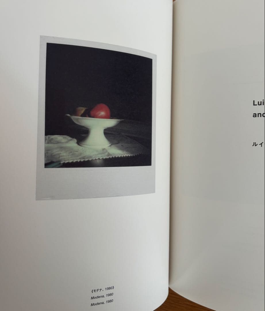 ルイジ ギッリ　終わらない風景　図録