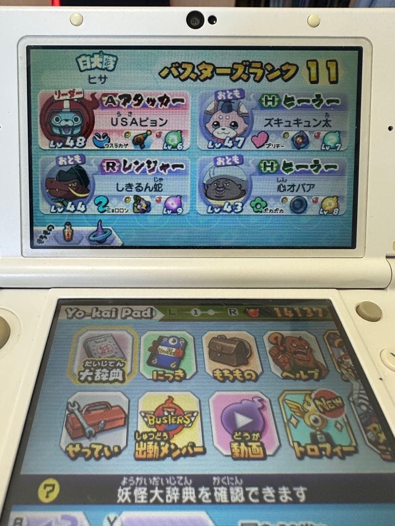 ジ*ン様 3DSカセットまとめ売り　DSカセット