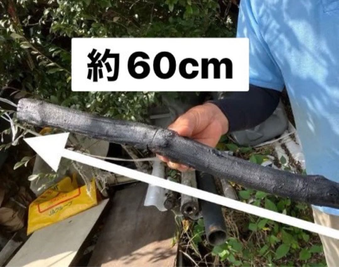 長炭（樫炭）30本［着払い］