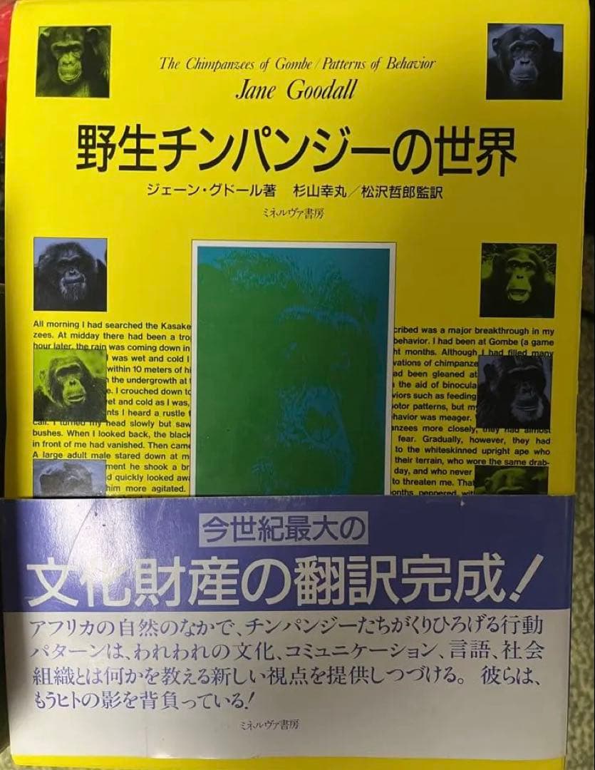 野生チンパンジーの世界　第1版
