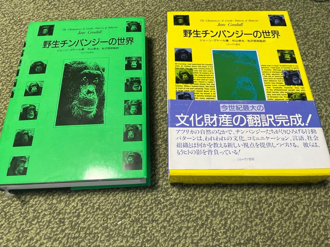 野生チンパンジーの世界　第1版