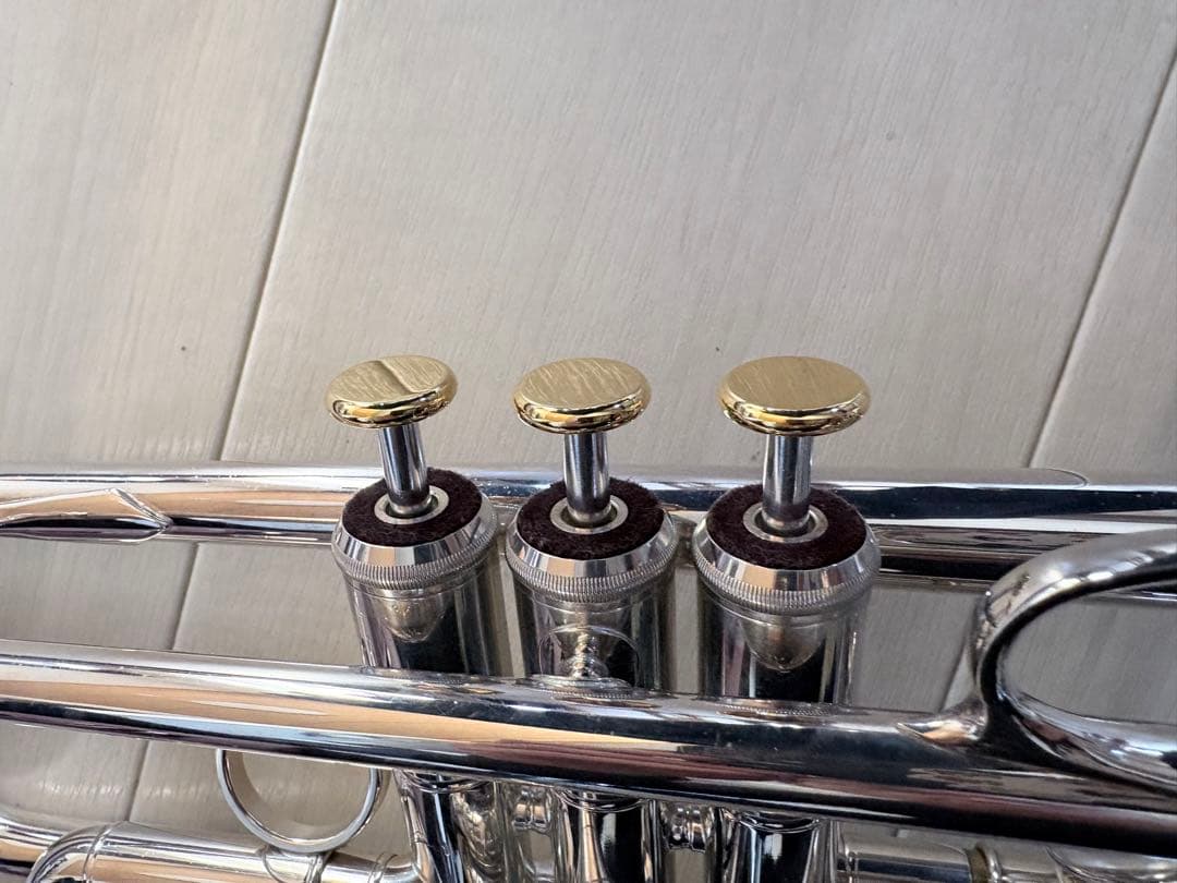 レアな選定品XOトランペット　GX-Sモデル