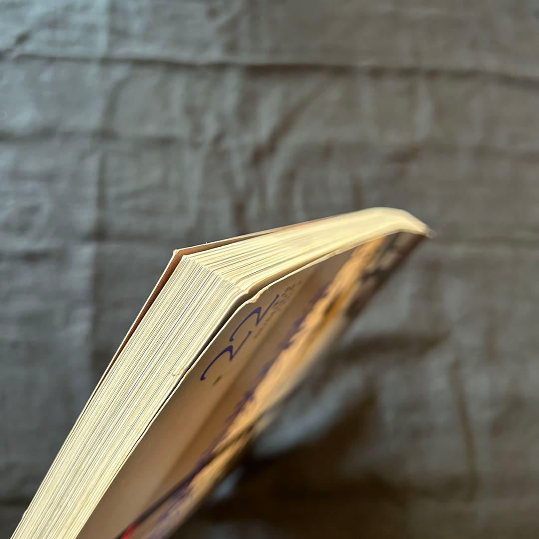 【絶版希少書籍】 JA 22 1996夏号 特集：モダン住宅