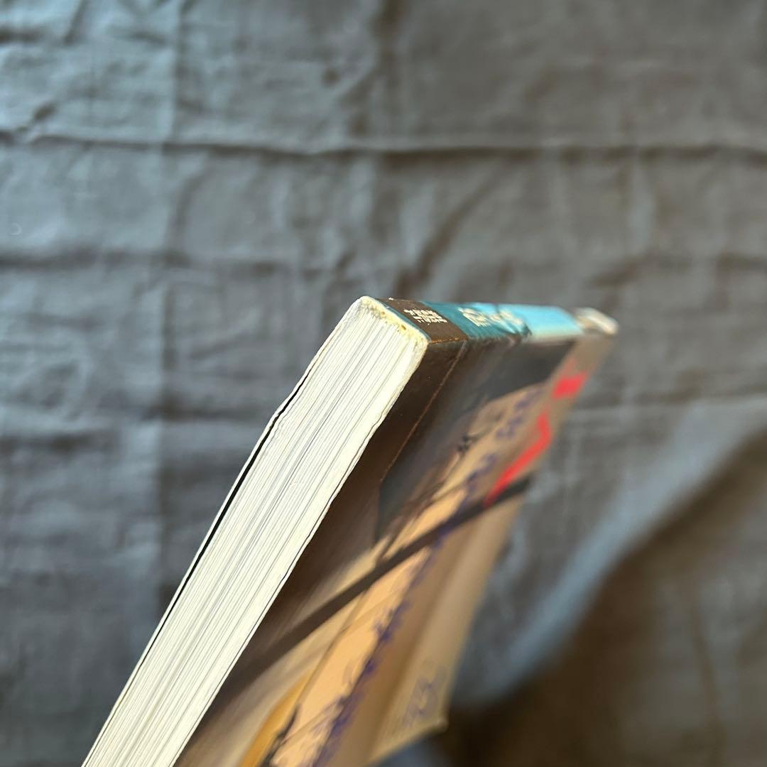 【絶版希少書籍】 JA 22 1996夏号 特集：モダン住宅