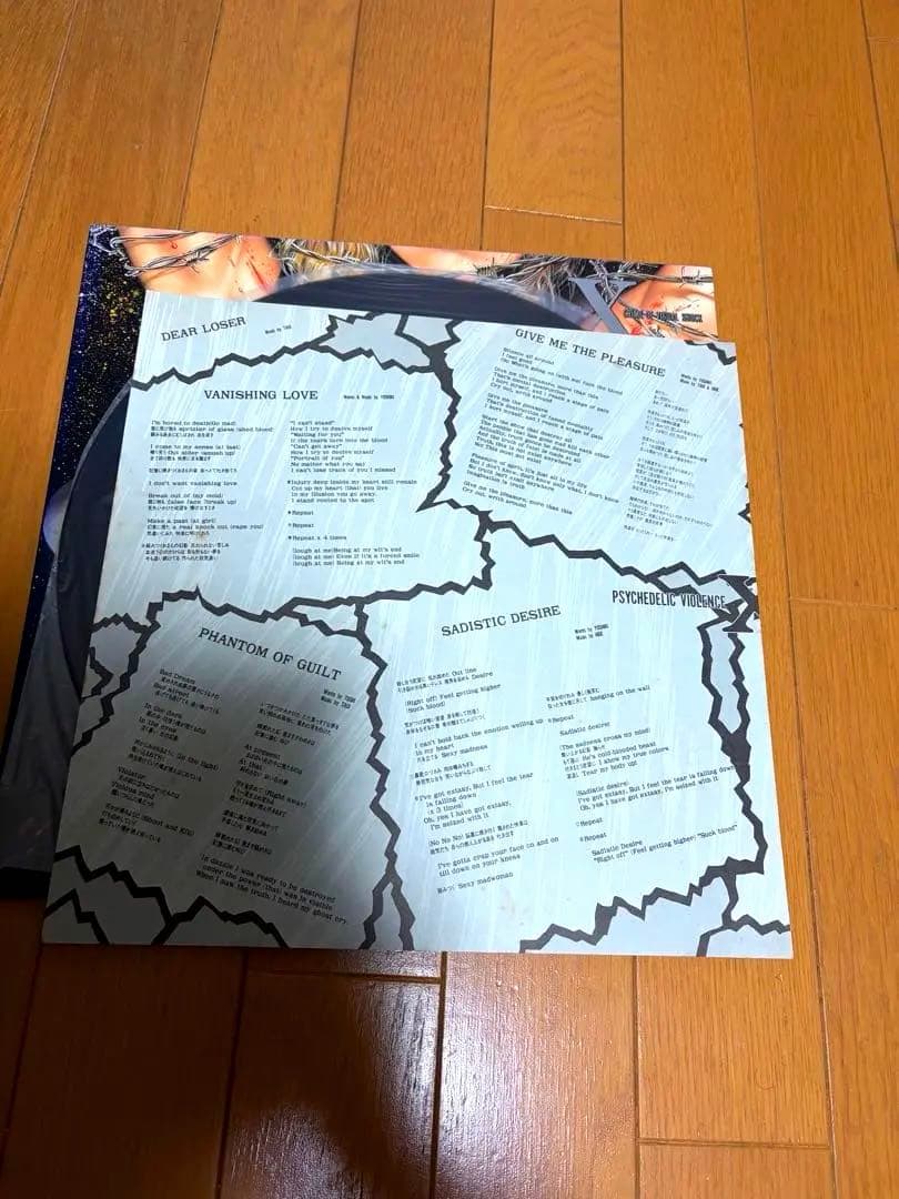 X Vanishing Vision ヴァニシング ヴィジョン エックス