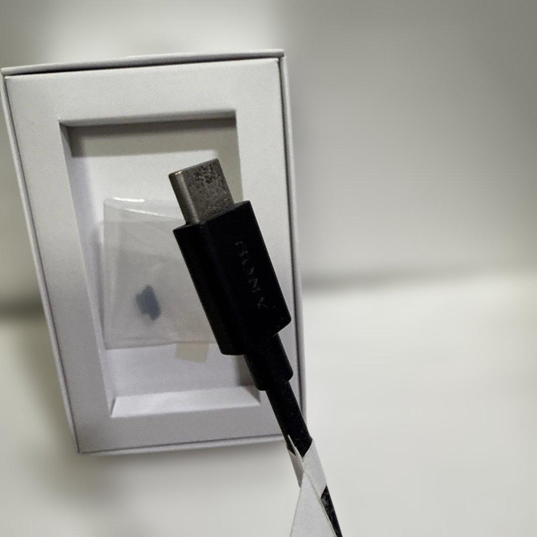 SONY WALKMAN NW-A106 ブルー