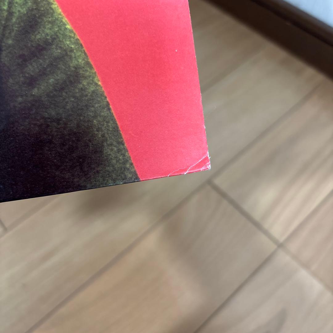 洋楽 Captain Beefheart Trout Mask Replica LP